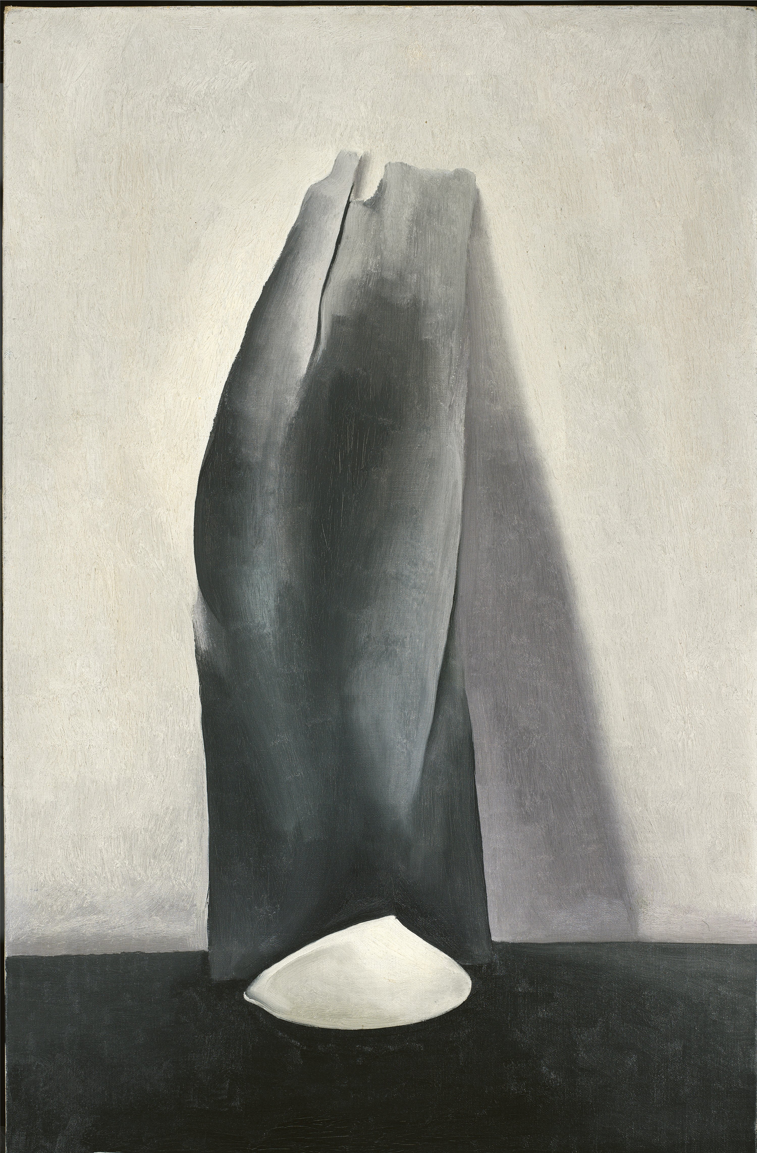 洋書 Georgia O'Keeffe The Georgia O'Keeffe Museum